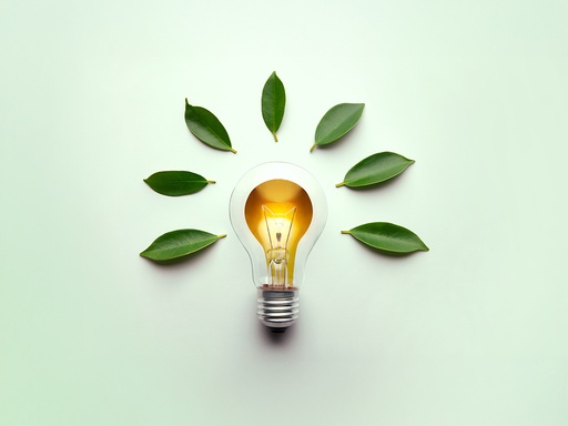 Innovation 101